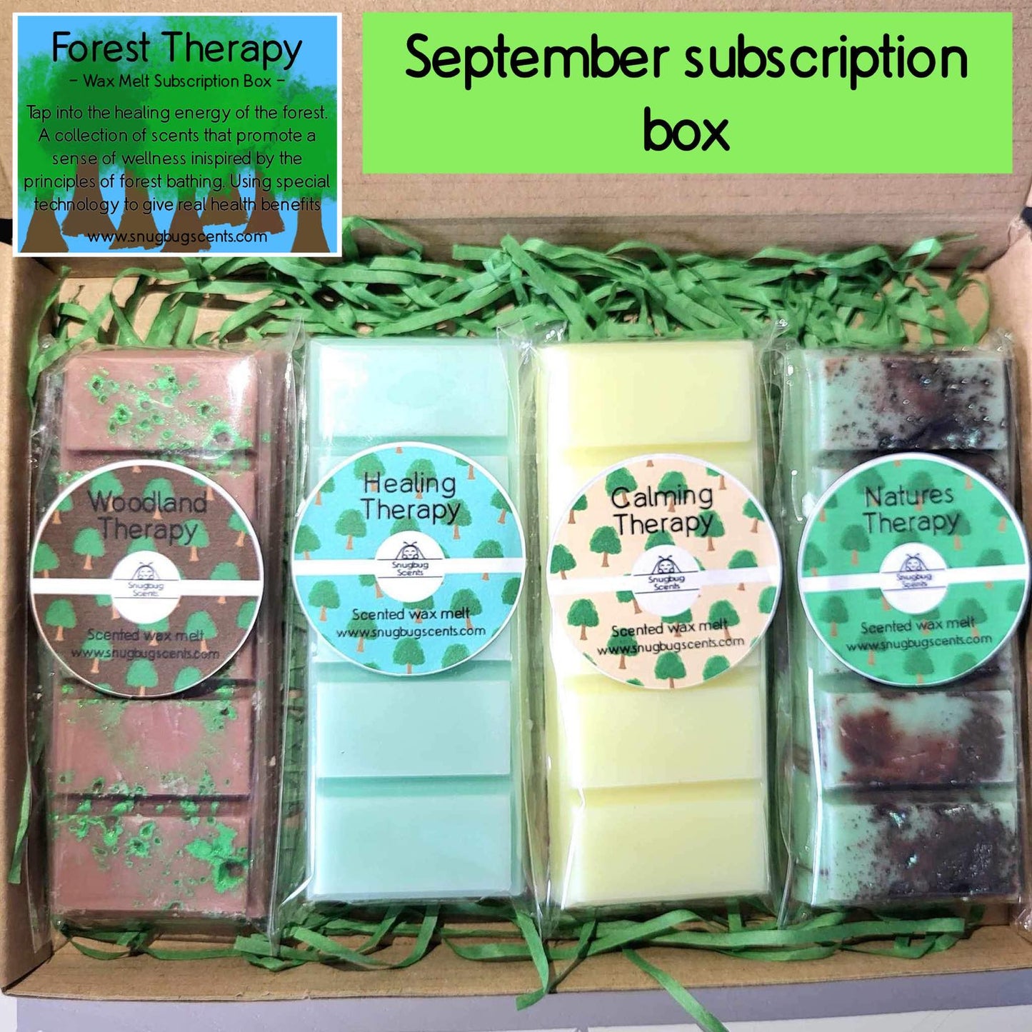 Wax Melt Monthly Subscription Box